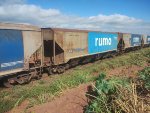 RUMO HPT-031367-0